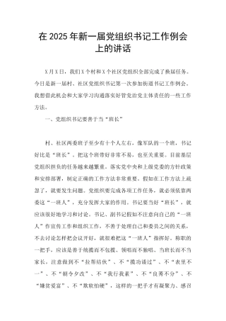 在2025年新一届党组织书记工作例会上的讲话