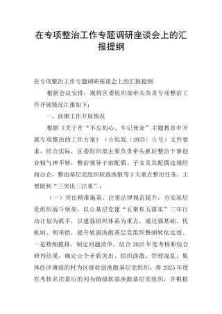 在专项整治工作专题调研座谈会上的汇报提纲