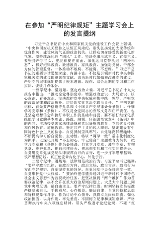 在参加“严明纪律规矩”主题学习会上的发言提纲