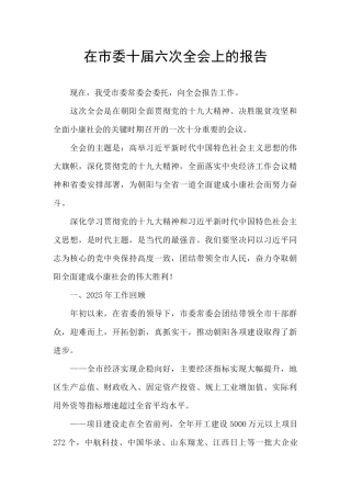 在市委十届六次全会上的报告-