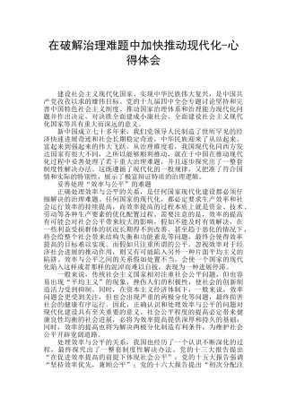 在破解治理难题中加快推进现代化-心得体会