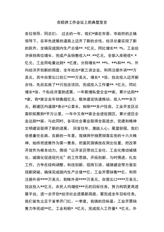 在经济工作会议上的典型发言