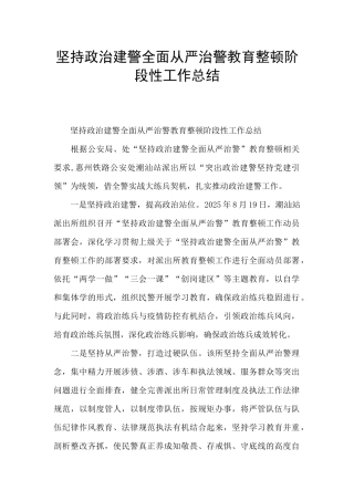 坚持政治建警全面从严治警教育整顿阶段性工作总结