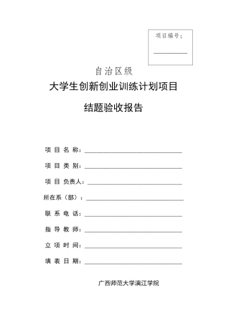 大创项目结题验收报告