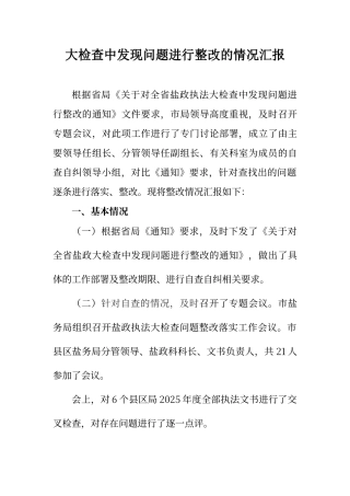 大检查中发现问题进行整改的情况汇报