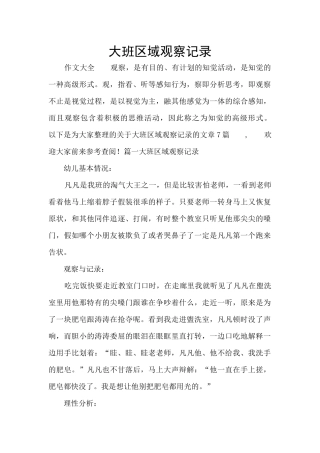 大班区域观察记录