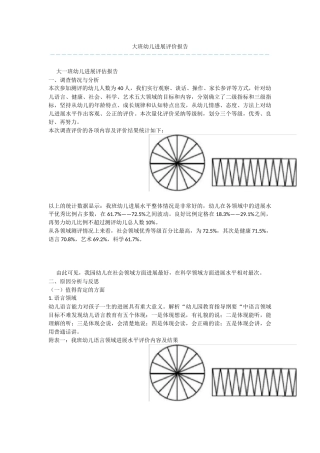 大班幼儿发展评价报告