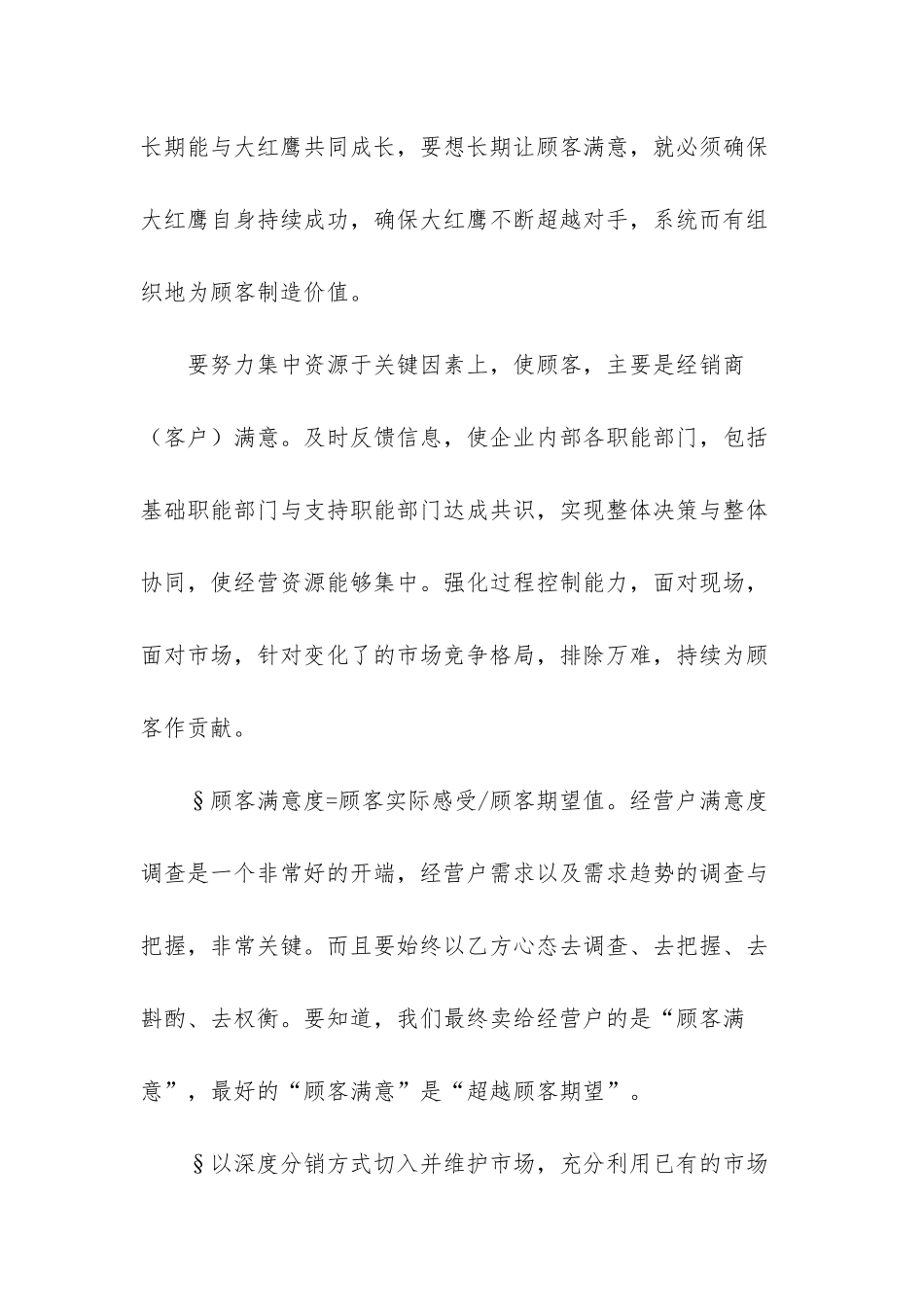 大红鹰品牌营销策划5_第3页