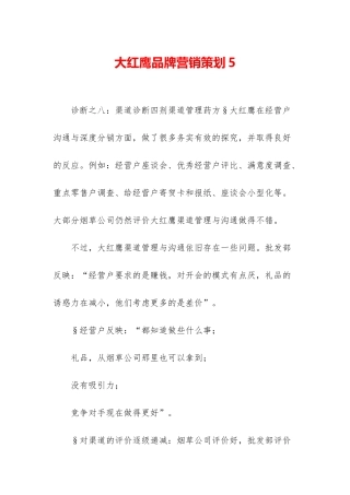 大红鹰品牌营销策划5