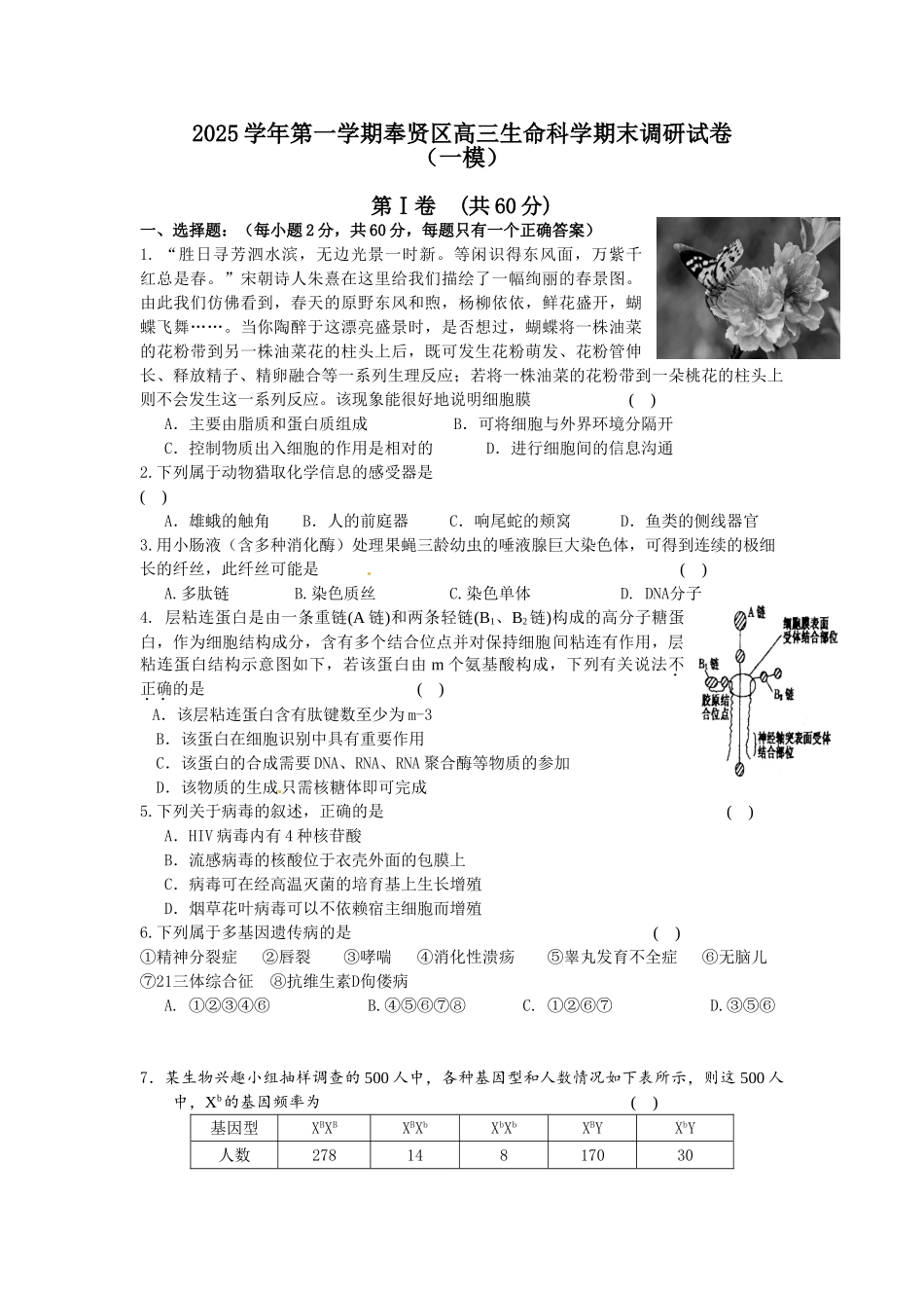 好题速递——上海市奉贤区2025届高三高考生物一模试卷及答案_第1页