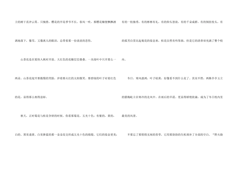 学校的一角四年级下册500字_第3页