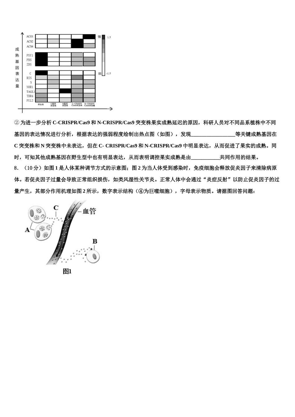 宁夏银川唐徕回民中学高三第二次模拟考试生物试卷含解析_第3页