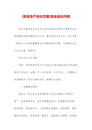 安全会议内容