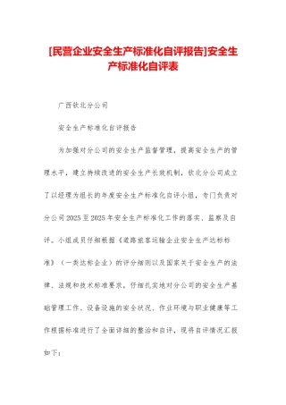 安全生产标准化自评表