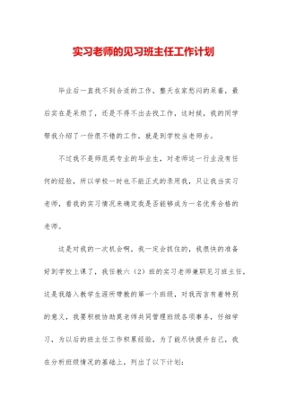 实习老师的见习班主任工作计划