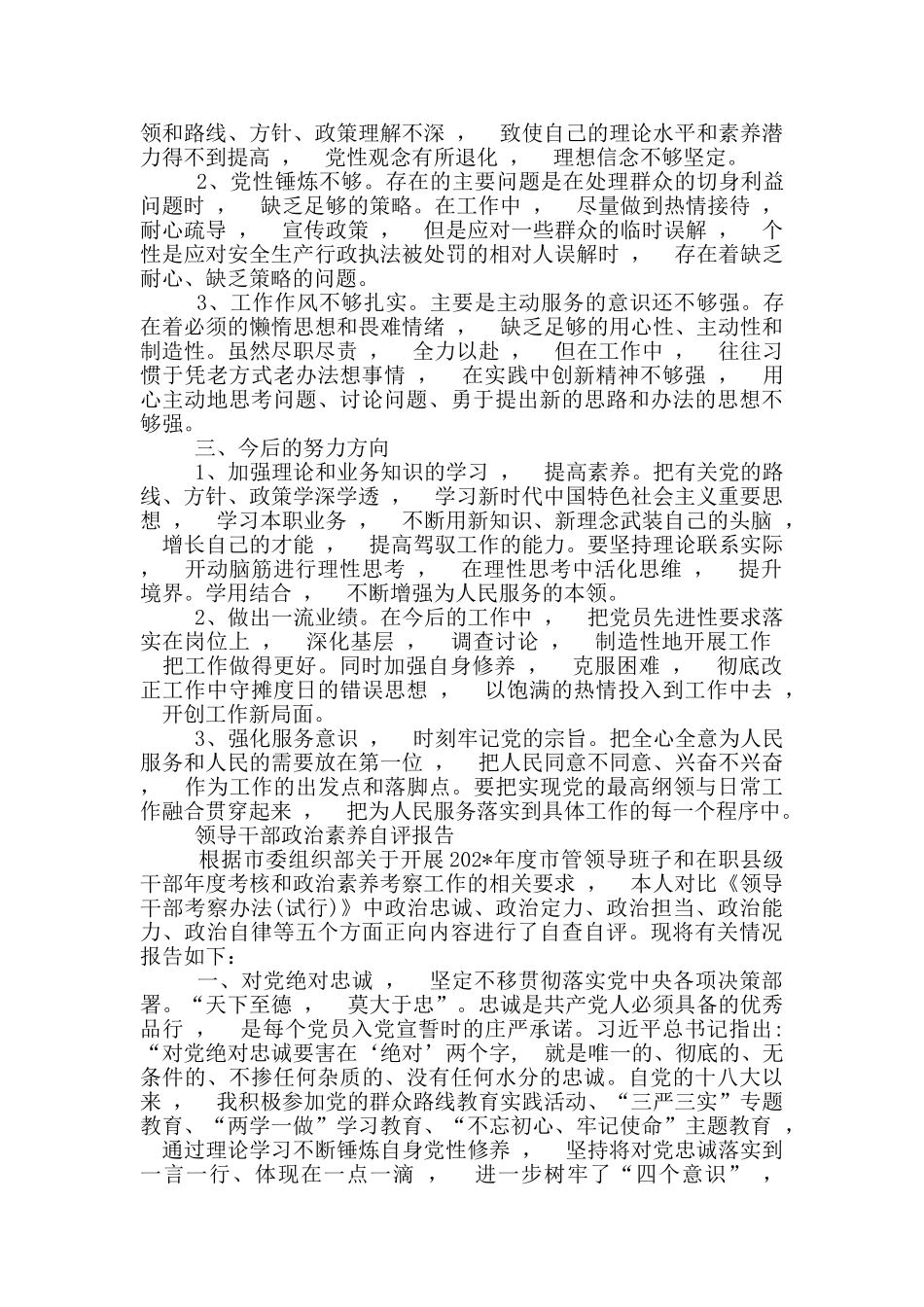 实用文档最X2篇市县处级党员领导干部提拔考察政治忠诚政治定力政治担当政治能力政治自律等五个方面个人年_第3页