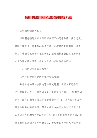 实用的试用期劳动合同集锦八篇