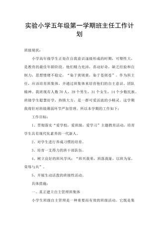 实验小学五年级第一学期班主任工作计划