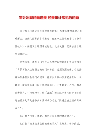 审计出现问题追责-经责审计常见的问题