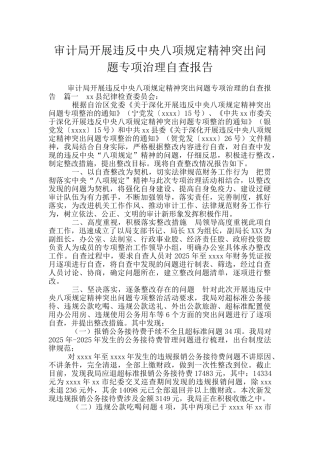 审计局开展违反中央八项规定精神突出问题专项治理自查报告