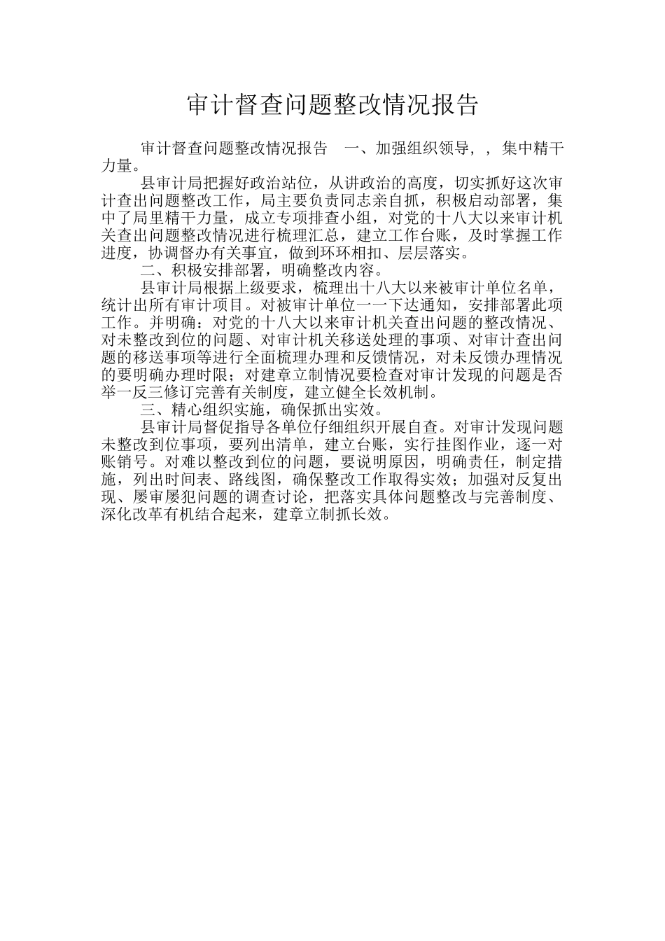 审计督查问题整改情况报告_第1页