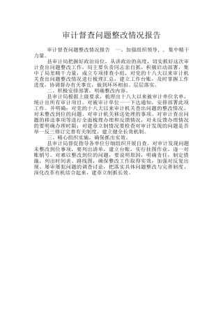 审计督查问题整改情况报告