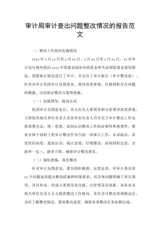 审计局审计查出问题整改情况的报告范文