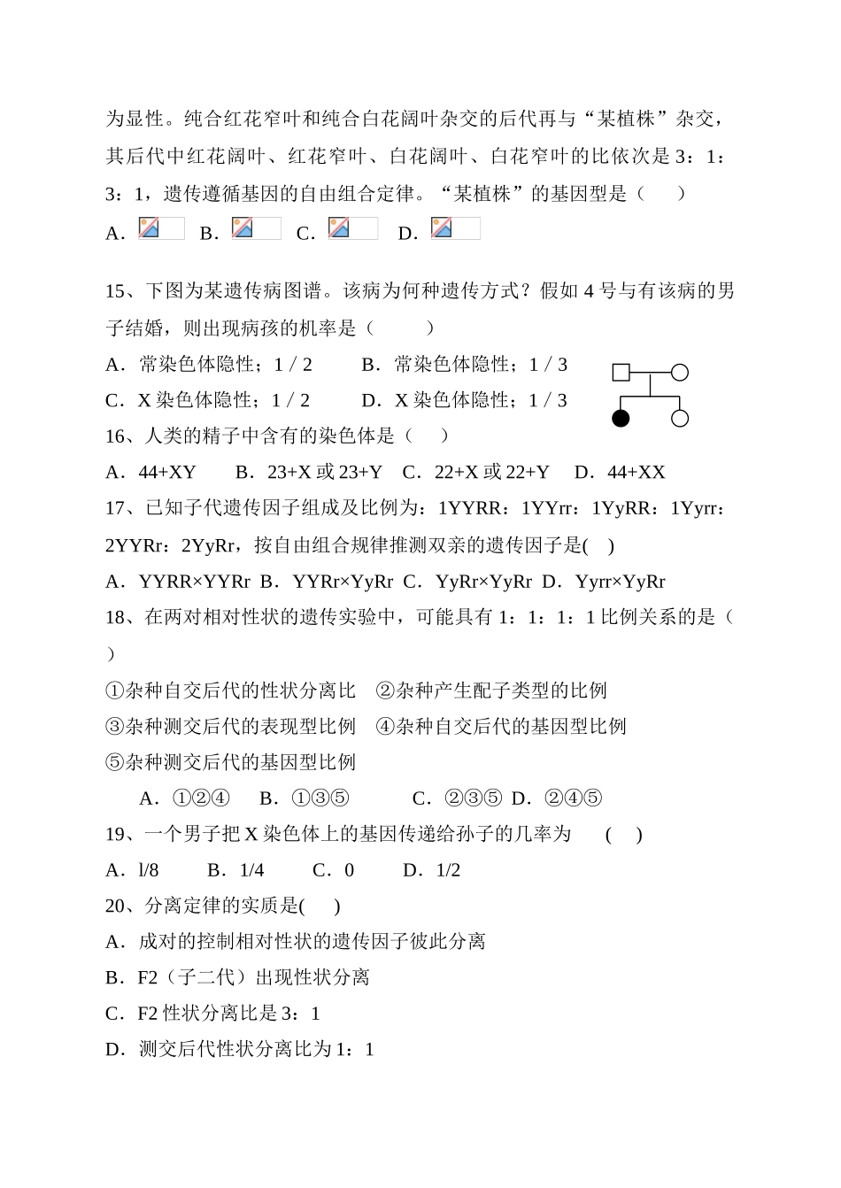 宣城市文鼎中学高一第二学期期中考试_第3页