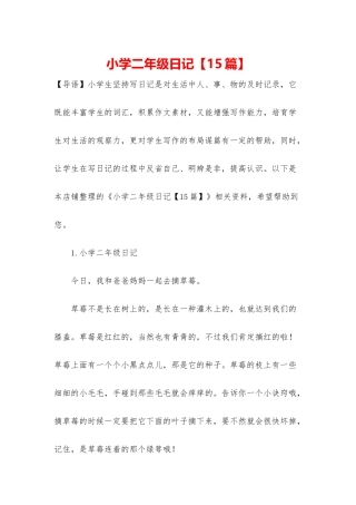 小学二年级日记