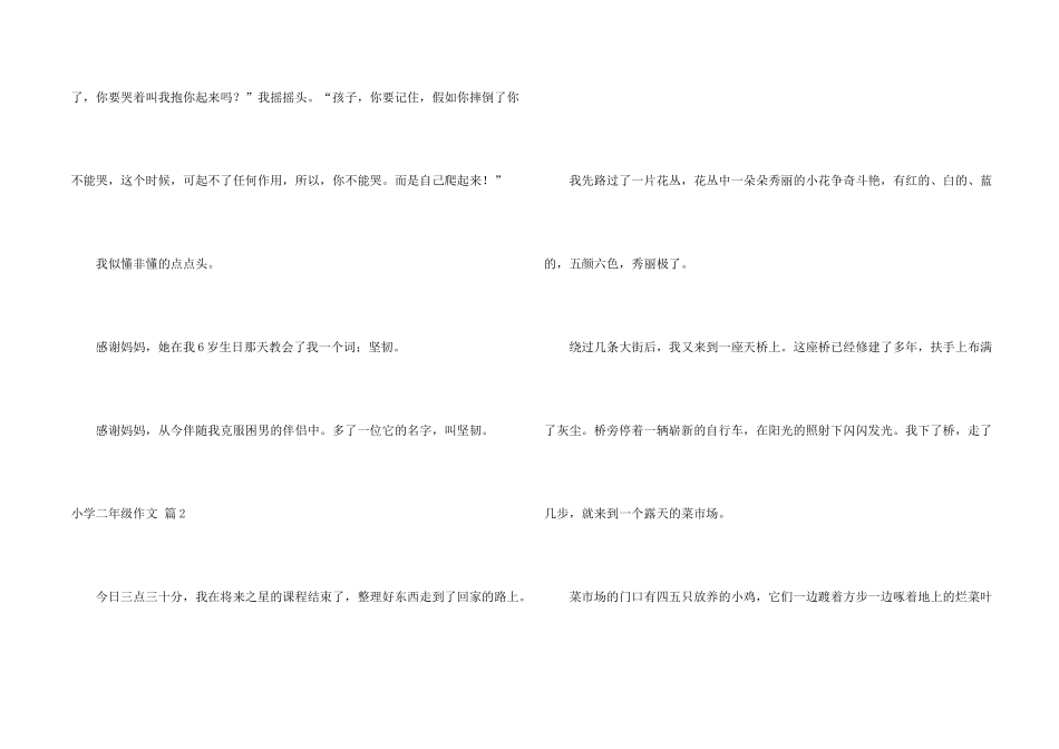 小学二年级汇总九篇_第2页