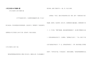 小学五年级300字集锦5篇