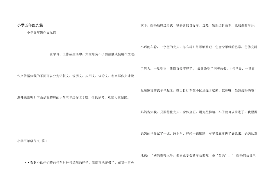 小学五年级九篇_第1页
