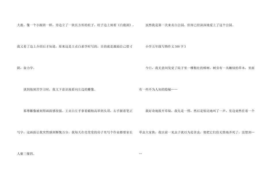 小学五年级写物500字_第3页
