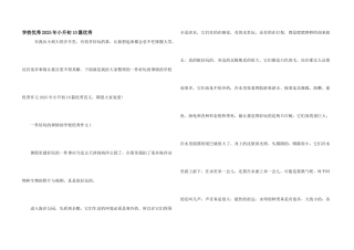 小学优秀2025年小升初10篇优秀
