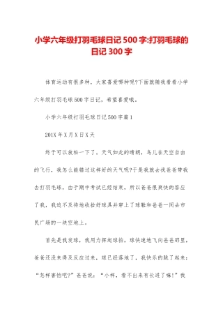 小学六年级打羽毛球日记500字-打羽毛球的日记300字