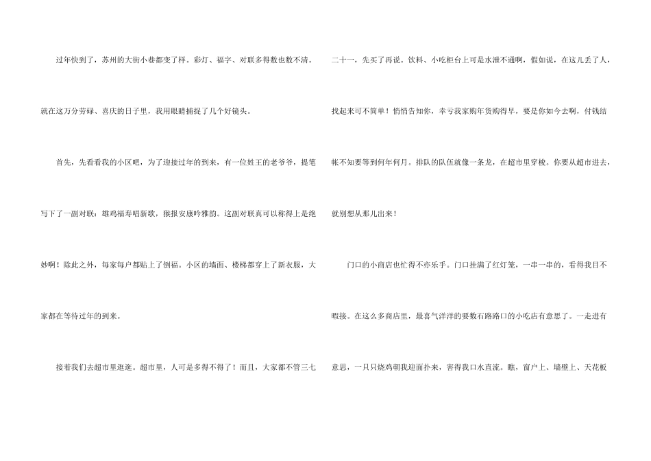 小学六年级春节合集五篇_第3页