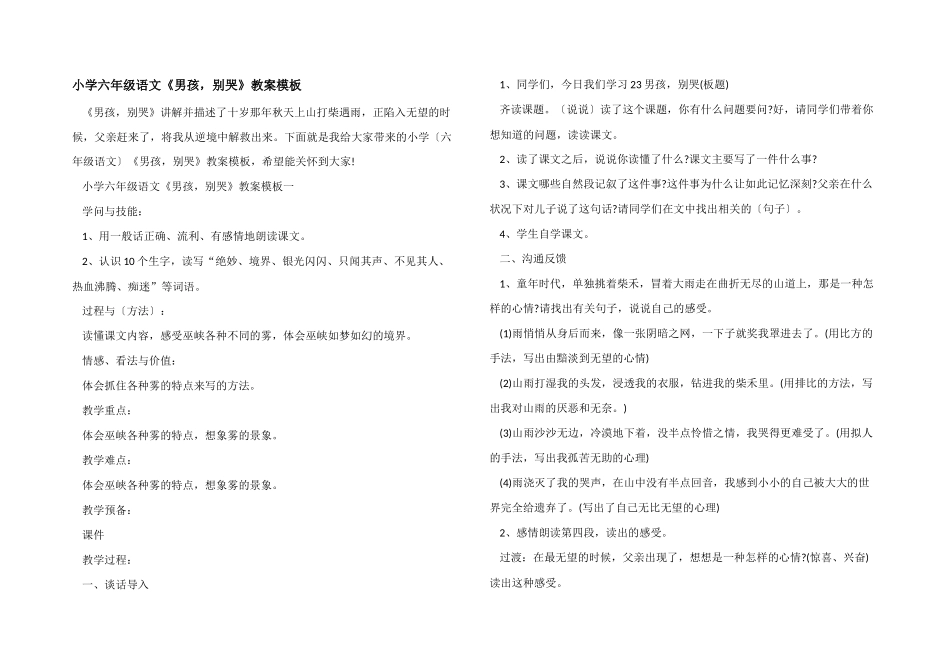 小学六年级语文《男孩-别哭》教案模板_第1页