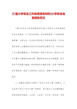 小学安全自查报告范文