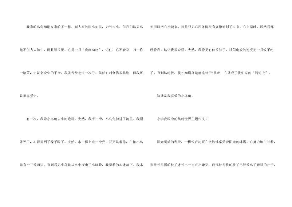 小学我眼中的缤纷世界主题_第2页