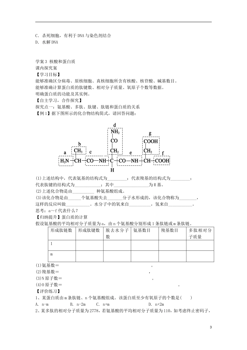 福建省长泰县第二中学2014高考生物 3 蛋白质和核酸学案 新人教版必修1_第3页