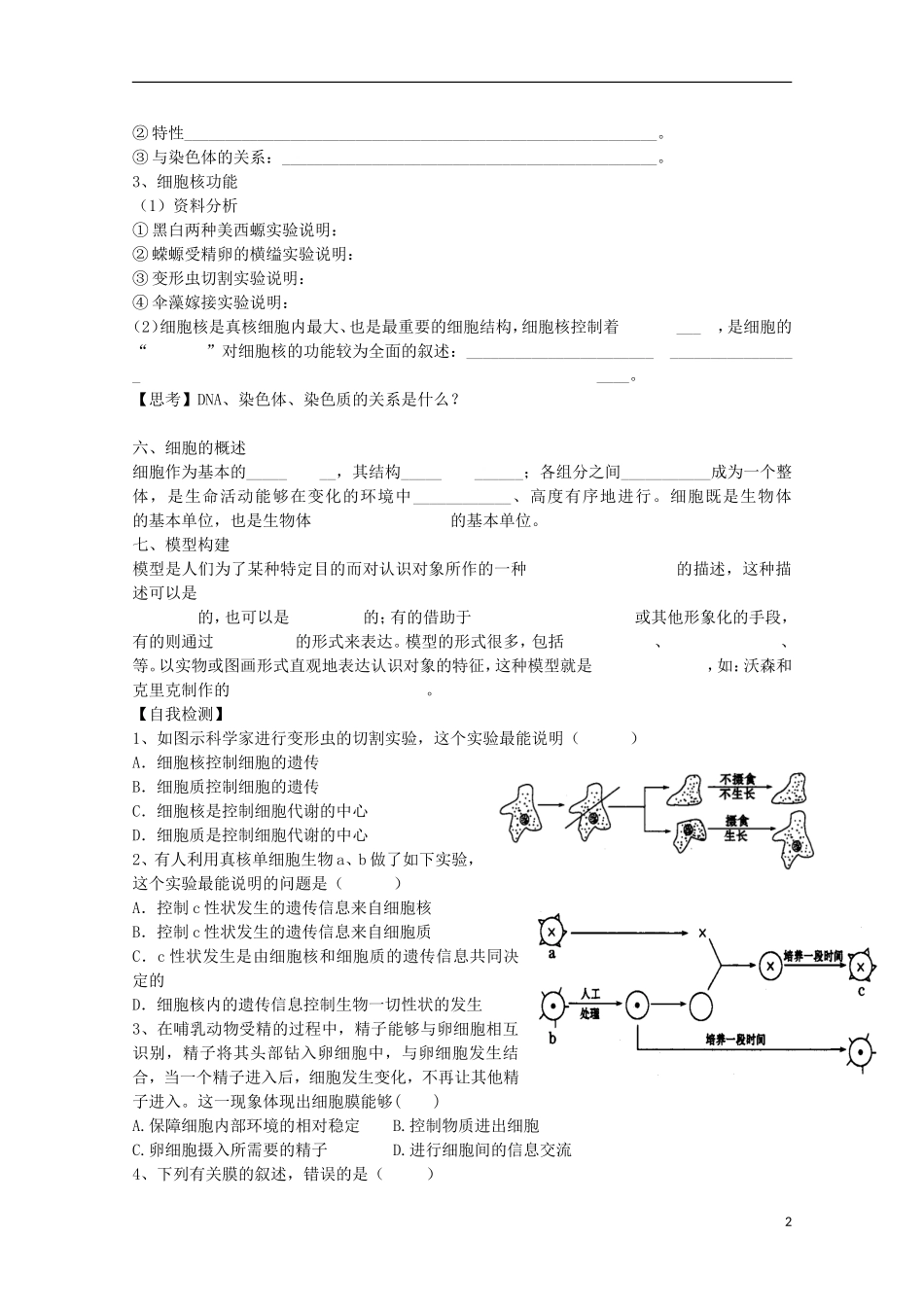 福建省长泰县第二中学2014高考生物 4 细胞膜和细胞核学案 新人教版必修1_第2页