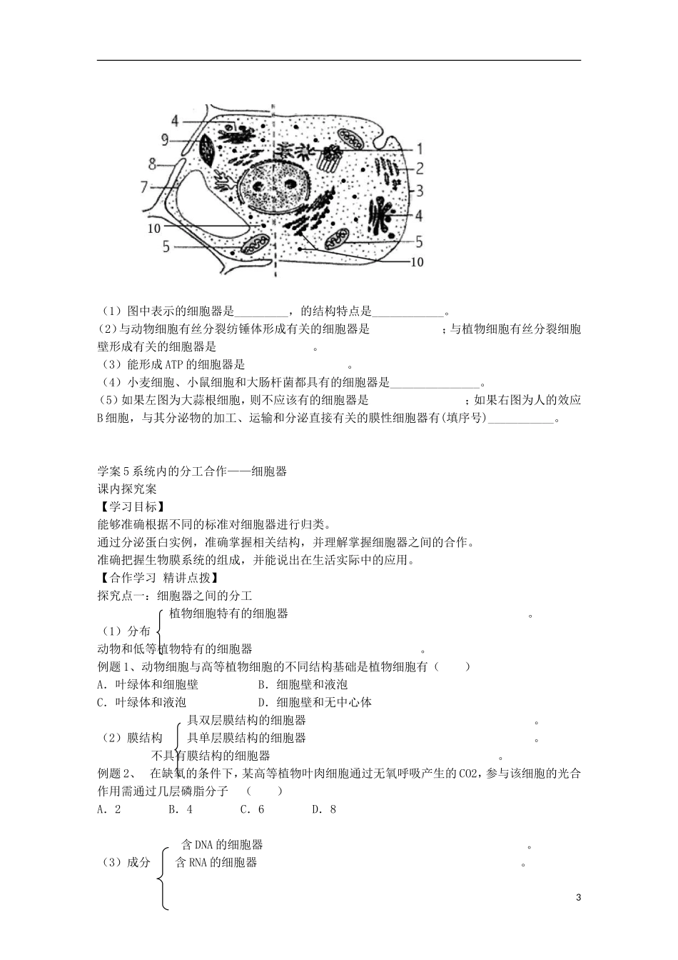 福建省长泰县第二中学2014高考生物 5 系统内的分工合作—细胞器学案 新人教版必修1_第3页
