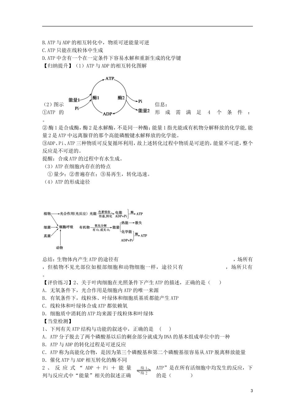 福建省长泰县第二中学2014高考生物 8 细胞的能量通货—ATP学案 新人教版必修1_第3页