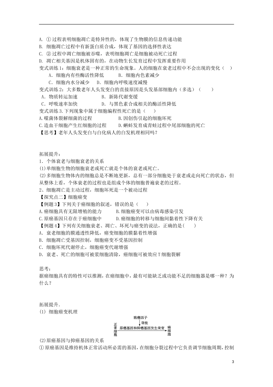 福建省长泰县第二中学2014高考生物 13 细胞的衰老、凋亡和癌变学案 新人教版必修1_第3页