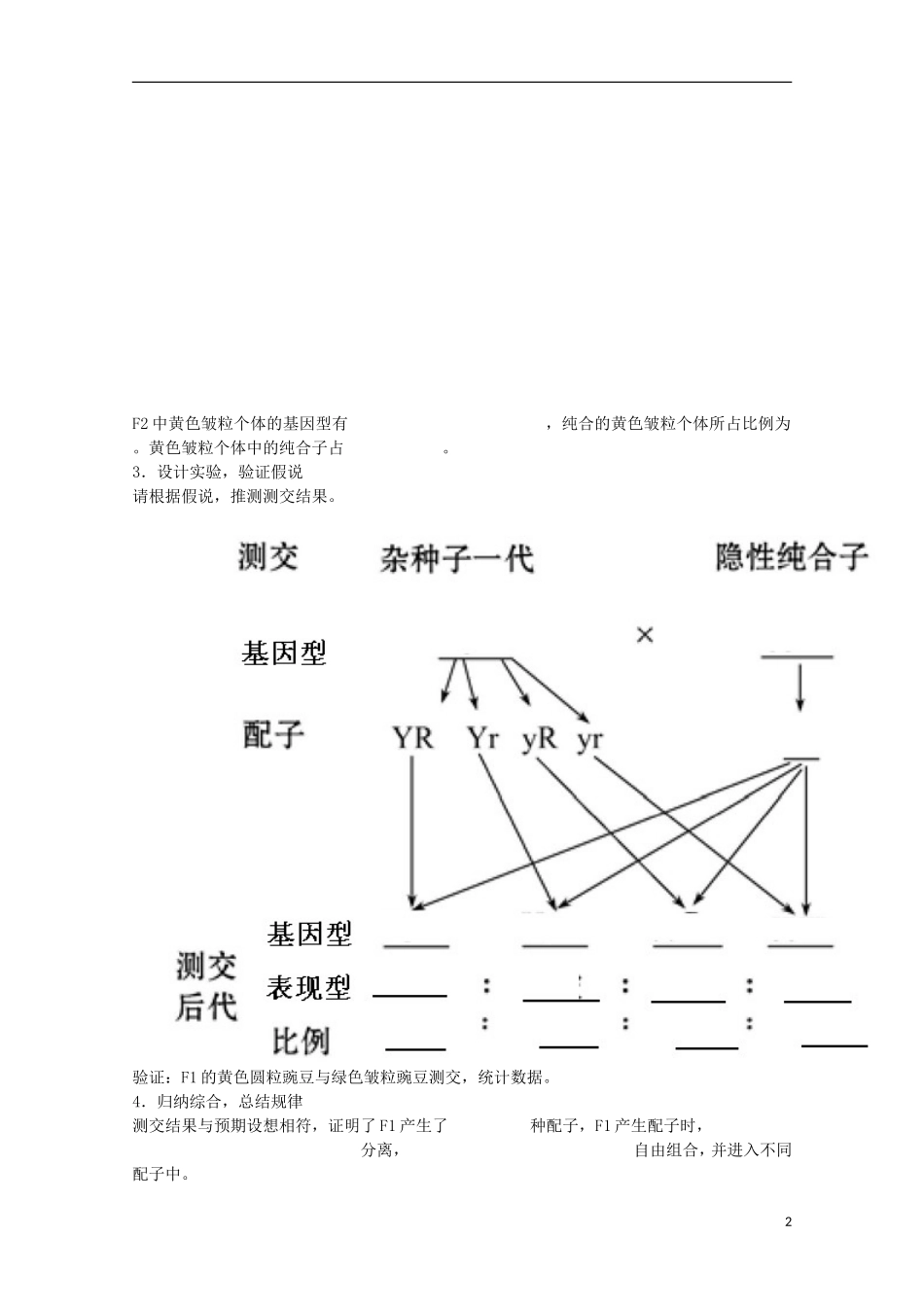 福建省长泰县第二中学2014高考生物 16豌豆杂交实验学案2 新人教版必修2_第2页