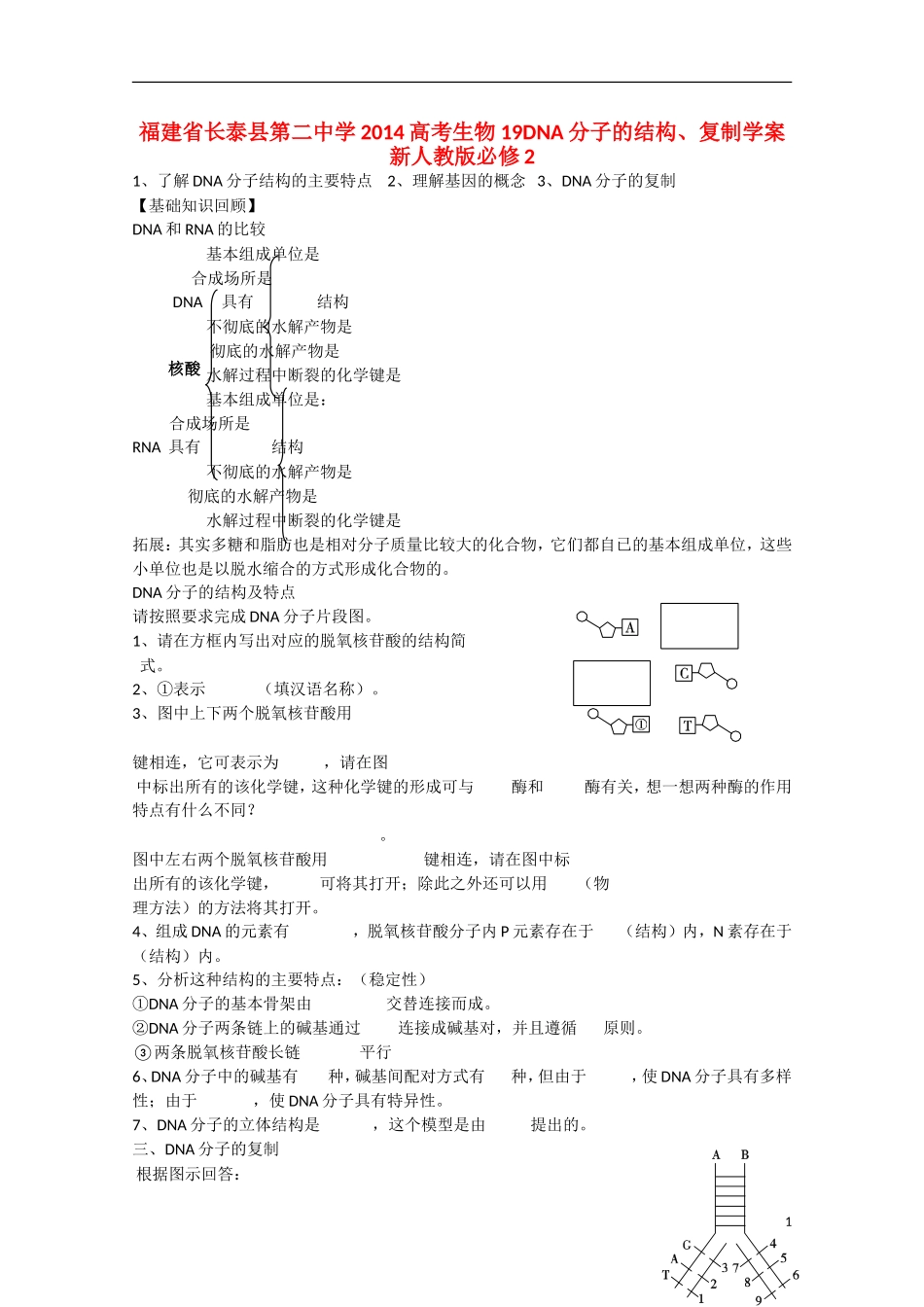 福建省长泰县第二中学2014高考生物 19DNA分子的结构、复制学案 新人教版必修2_第1页