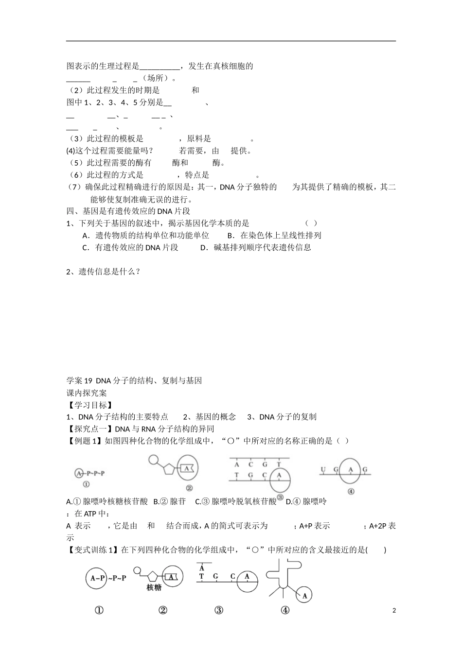 福建省长泰县第二中学2014高考生物 19DNA分子的结构、复制学案 新人教版必修2_第2页