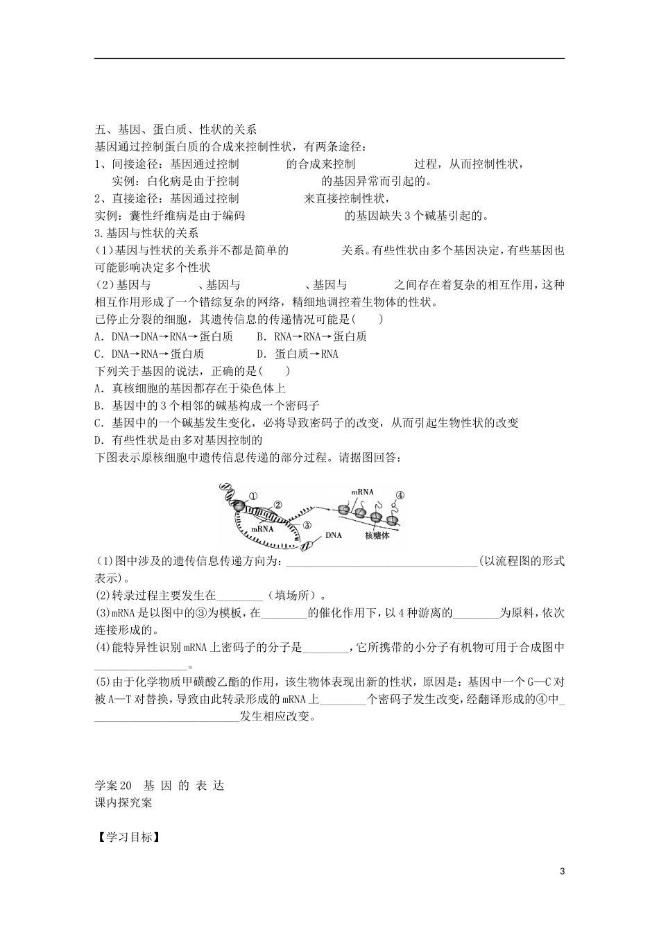 福建省长泰县第二中学2014高考生物 20基因的表达学案 新人教版必修2_第3页