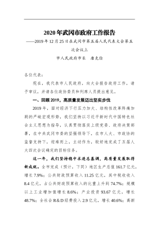 2020年武冈市政府工作报告
