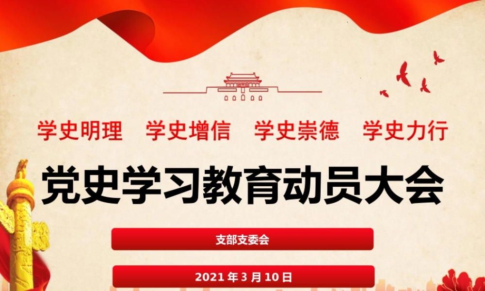 党史学习教育动员大会（模版）.